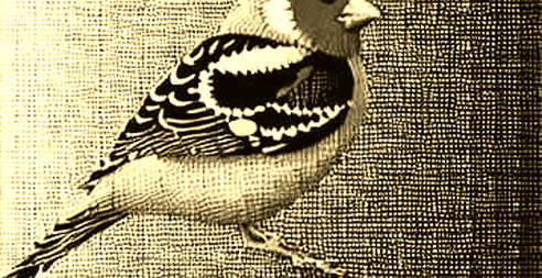 The Iran Peace Premium: Why Crypto Markets Are Pricing a Fragile Ceasefire